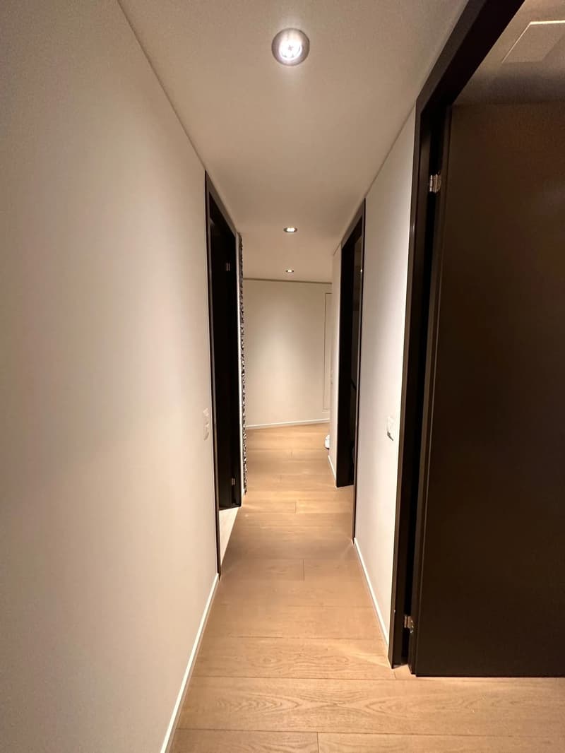 Modern 3.5-room apartment with a great view in Dietikon (12)