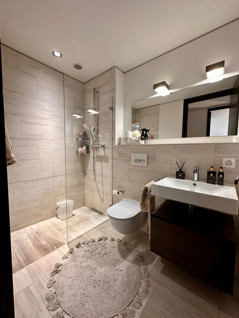 Modern 3.5-room apartment with a great view in Dietikon (5)