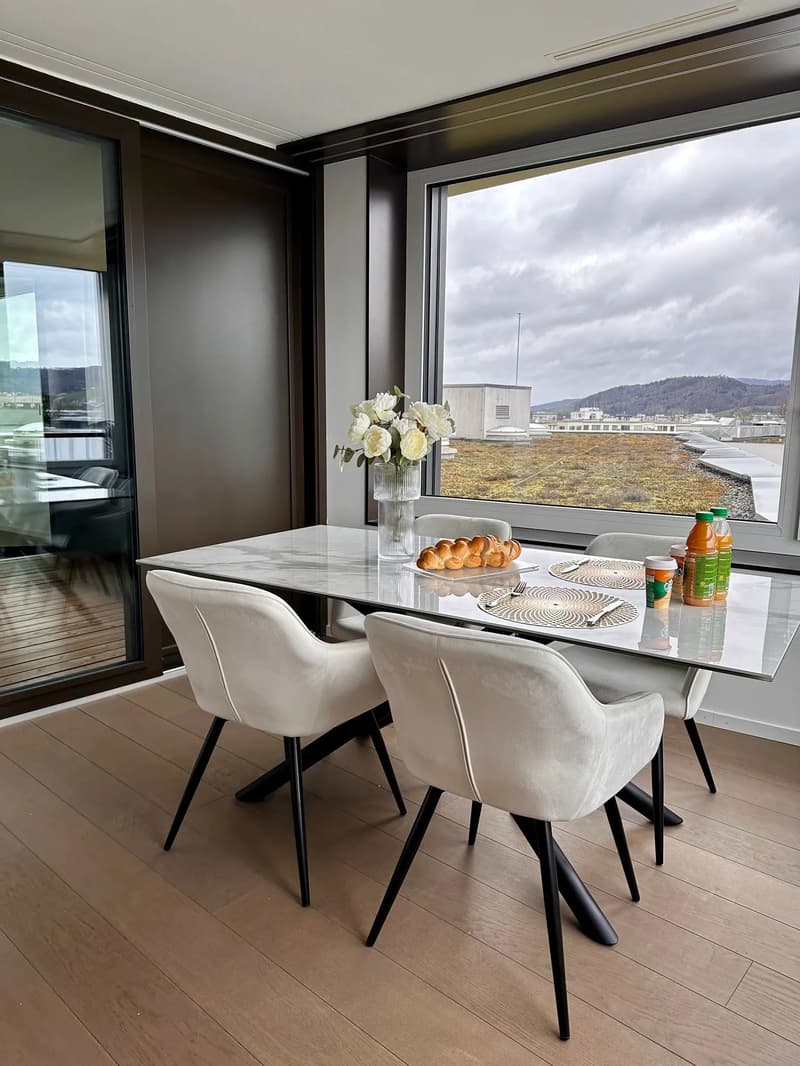 Modern 3.5-room apartment with a great view in Dietikon (4)