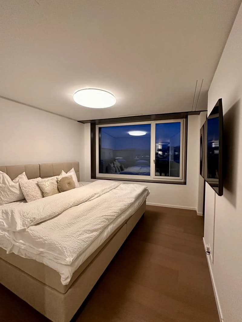 Modern 3.5-room apartment with a great view in Dietikon (7)