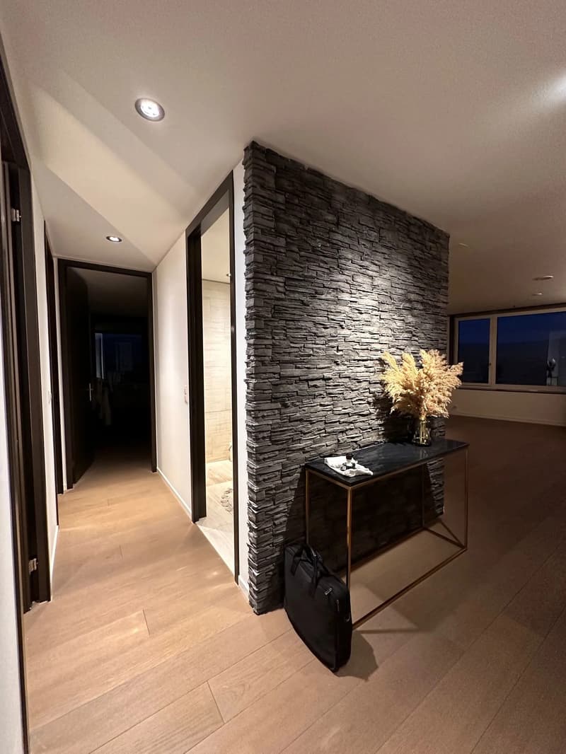 Modern 3.5-room apartment with a great view in Dietikon (2)