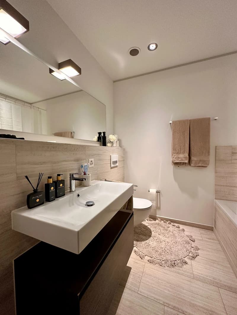 Modern 3.5-room apartment with a great view in Dietikon (6)