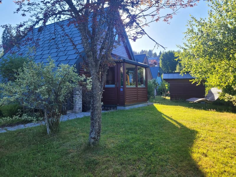 Ferienhaus am Feldberg / Deutschland (13)