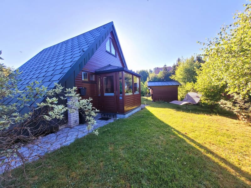Ferienhaus am Feldberg / Deutschland (1)