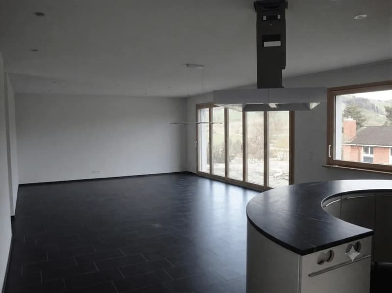 Moderne Villa: Nur 25 Min. nach Baden & 45 Min. nach Zürich/Basel (6)