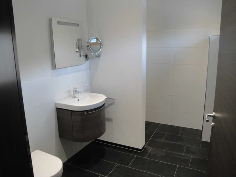 Moderne Villa: Nur 25 Min. nach Baden & 45 Min. nach Zürich/Basel (7)