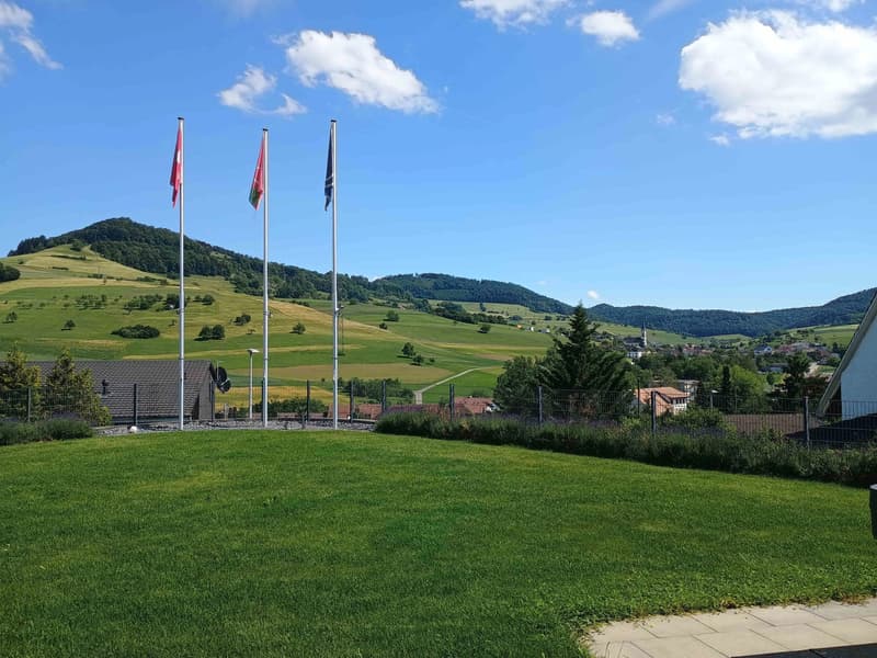 Moderne Villa: Nur 25 Min. nach Baden & 45 Min. nach Zürich/Basel (3)
