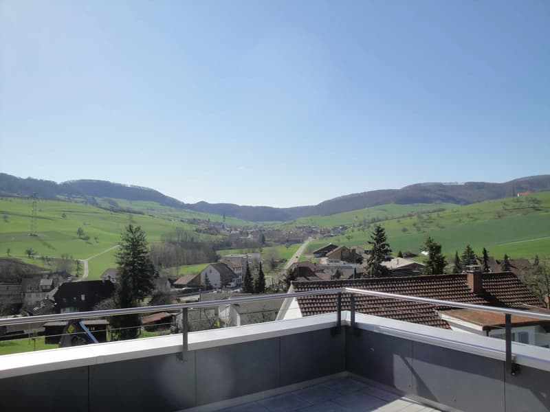 Moderne Villa: Nur 25 Min. nach Baden & 45 Min. nach Zürich/Basel (15)