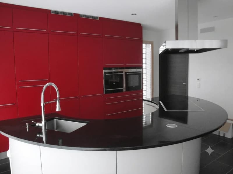 Moderne Villa: Nur 25 Min. nach Baden & 45 Min. nach Zürich/Basel (4)