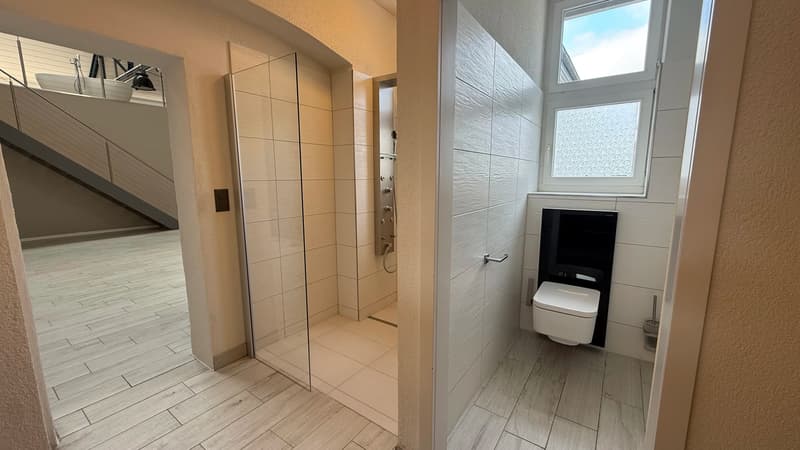Modernes, spektakuläres Loft mit Seeblick und einer Höhe bis zu 8 Meter (6)