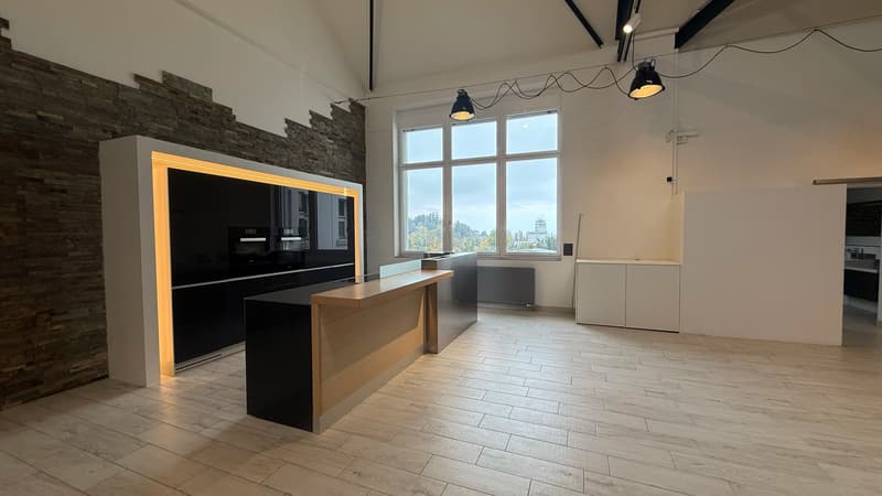 Modernes, spektakuläres Loft mit Seeblick und einer Höhe bis zu 8 Meter (3)