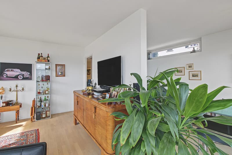 Traumhafte 3½ Zimmer Wohnung mit Seesicht und Bergblick – Stadtnahe, renoviert! (5)