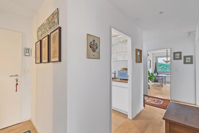 Traumhafte 3½ Zimmer Wohnung mit Seesicht und Bergblick – Stadtnahe, renoviert! (8)
