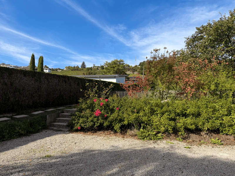 Charmant duplex de 2.5 pièces avec jardin, à 3 minutes du lac (15)