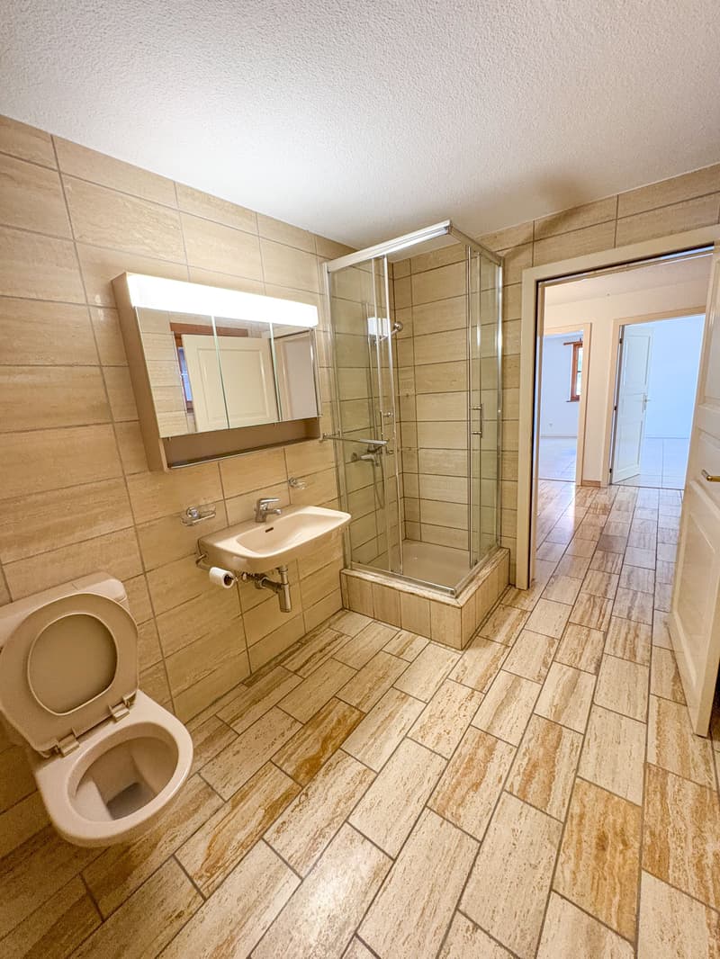 4-Bedroom Garden Apartment with Fireplace for Rent in Büsserach (5)