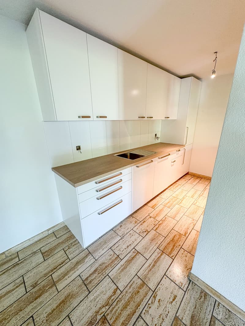 4-Bedroom Garden Apartment with Fireplace for Rent in Büsserach (3)