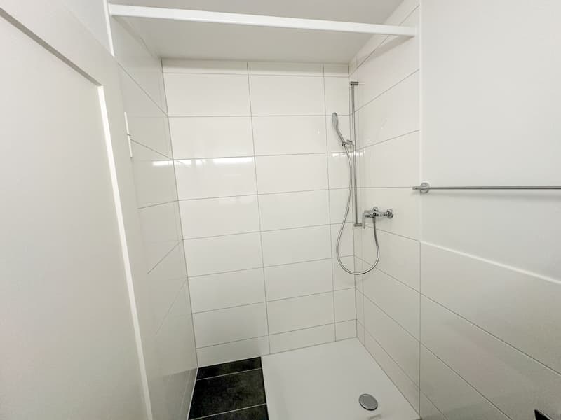 Appartement en duplex de 3 pièces lumineux avec balcon près de Wasgenring à louer (7)