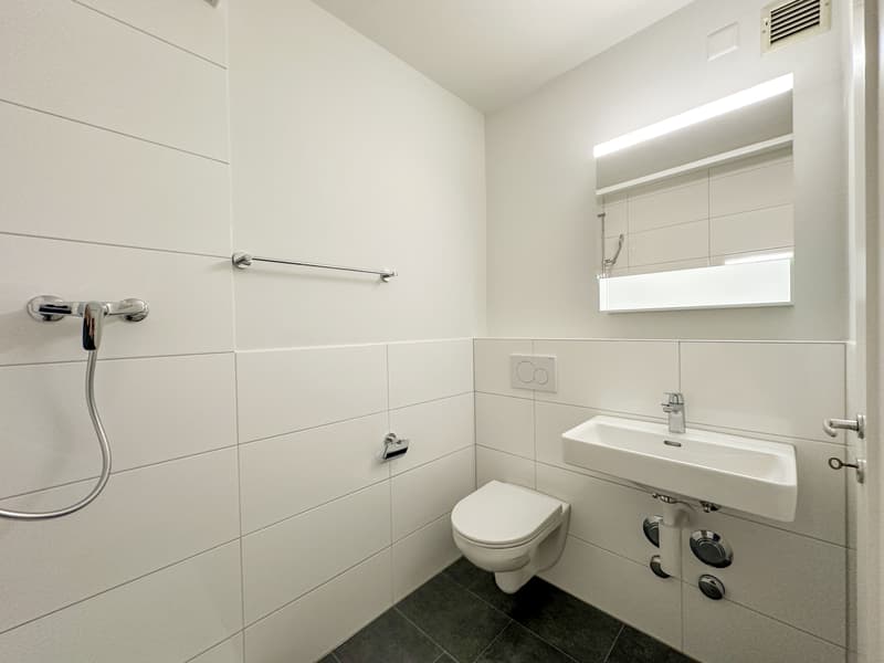 Appartement en duplex de 3 pièces lumineux avec balcon près de Wasgenring à louer (8)