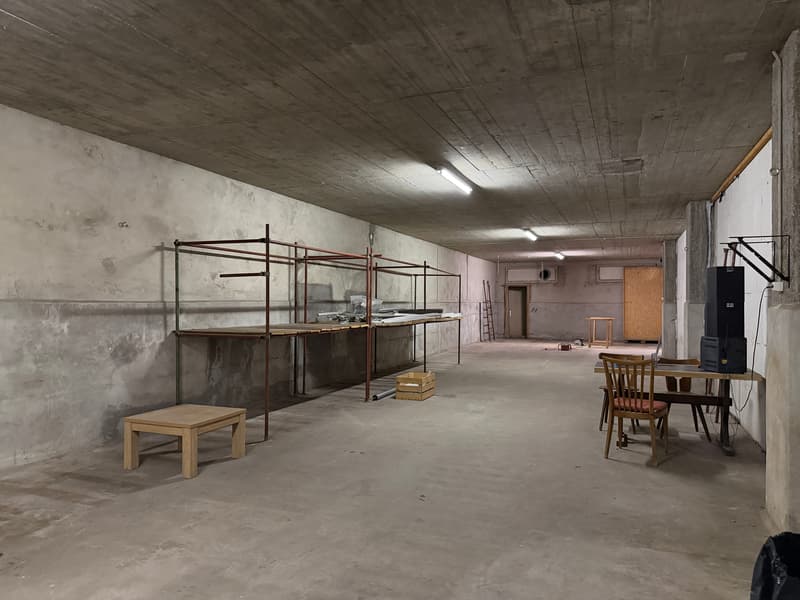 50 - 250 m² Lagerfläche im 2. UG mit Laderampe in Basel mieten (1)