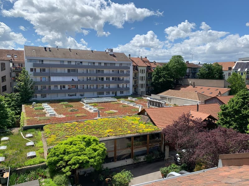 Charmante Dachwohnung (7)