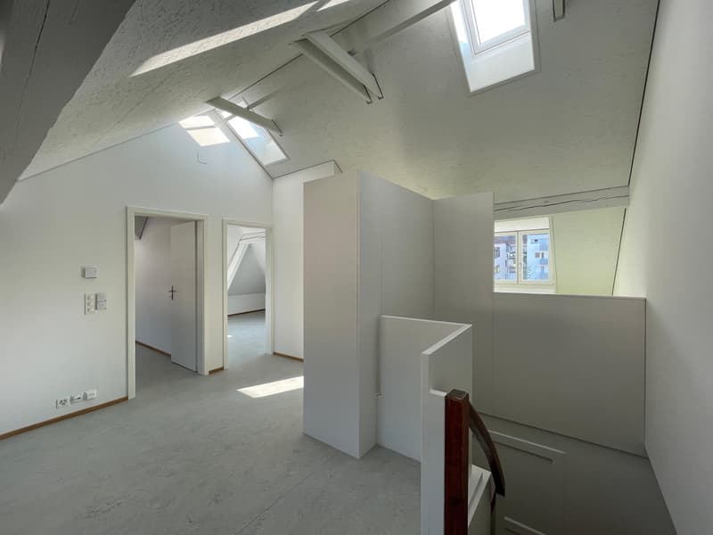 Charmante Dachwohnung (1)