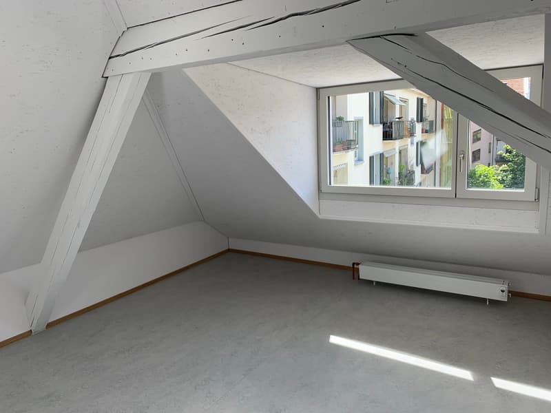 Charmante Dachwohnung (6)
