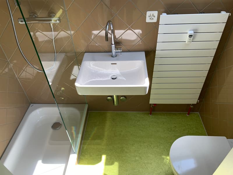 Charmante Dachwohnung (3)