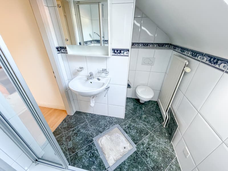 Wohnen und Arbeiten unter einem Dach - 6 Zimmer Einfamilienhaus mit Scheune (10)