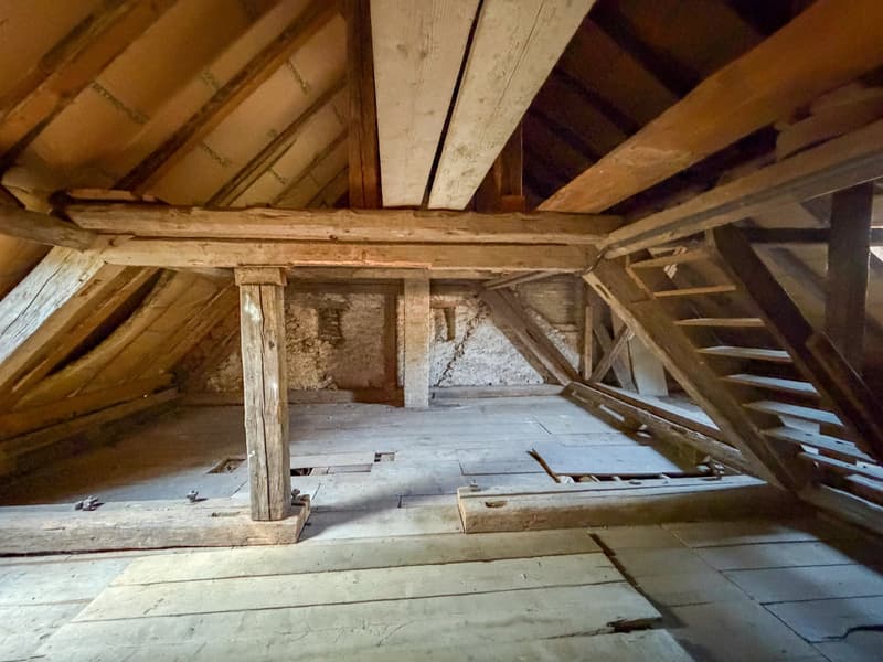 Wohnen und Arbeiten unter einem Dach - 6 Zimmer Einfamilienhaus mit Scheune (11)