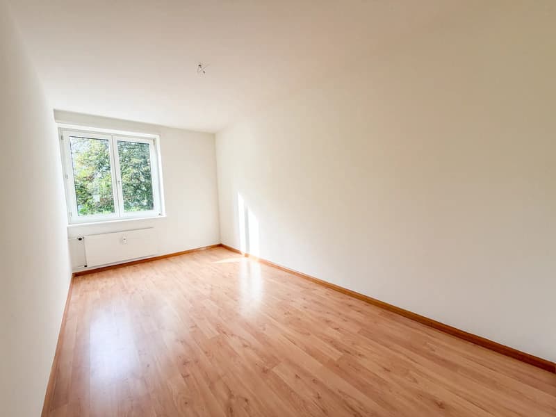 3-Zimmerwohnung mit Balkon ins Grüne in Basel mieten (6)