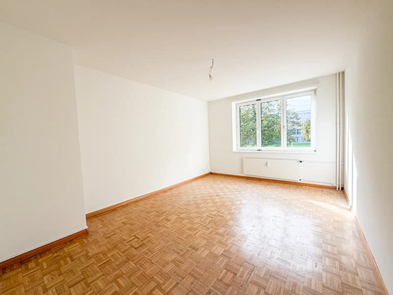 3-Zimmerwohnung mit Balkon ins Grüne in Basel mieten (7)