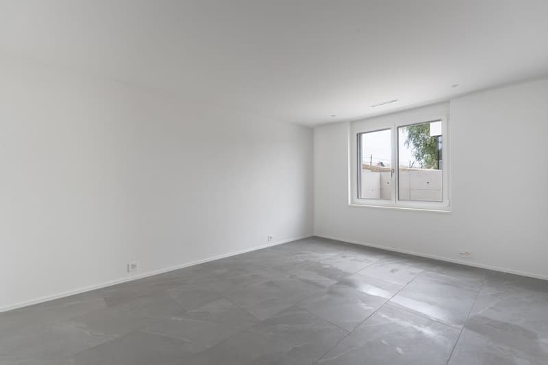 Hochwertige 4.5-Zimmer-Neubauwohnung mit Wintergarten im Erdgeschoss (6)