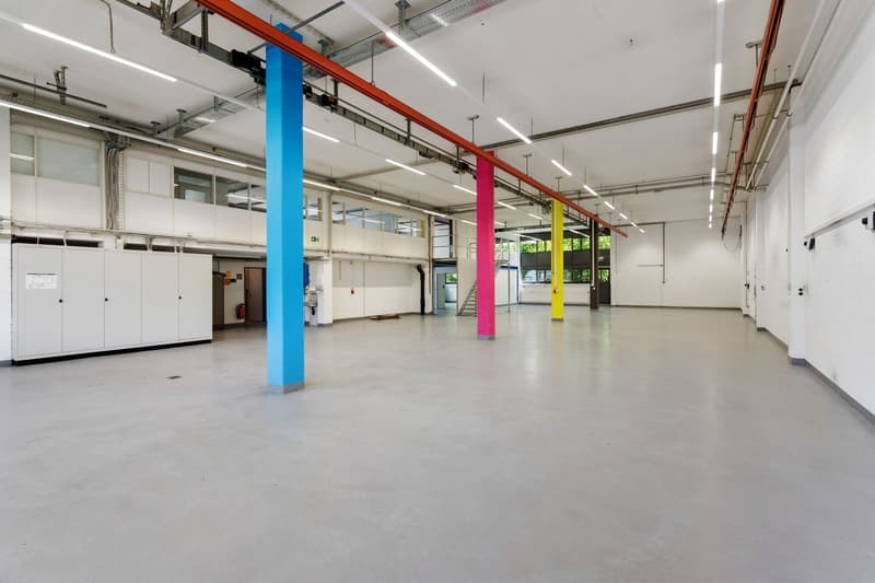 Vielseitige Gewerbe- und Büroflächen mit über 1'150 m² Nutzfläche (3)