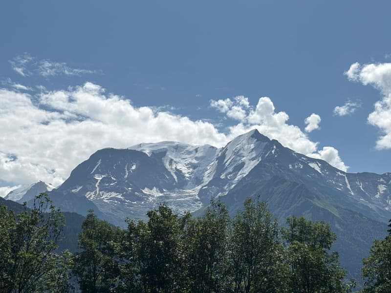Chalet d'exception entièrement rénové avec vue panoramique sur le Mont-Blanc (1)