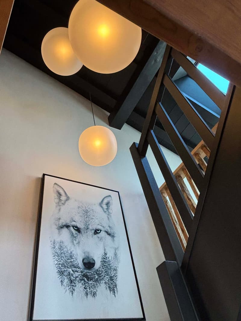 Chalet d'exception entièrement rénové avec vue panoramique sur le Mont-Blanc (9)
