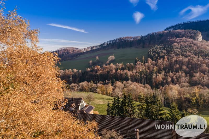 Fully developed building plot (built) with a view in Hauenstein-Ifenthal for sale (4)
