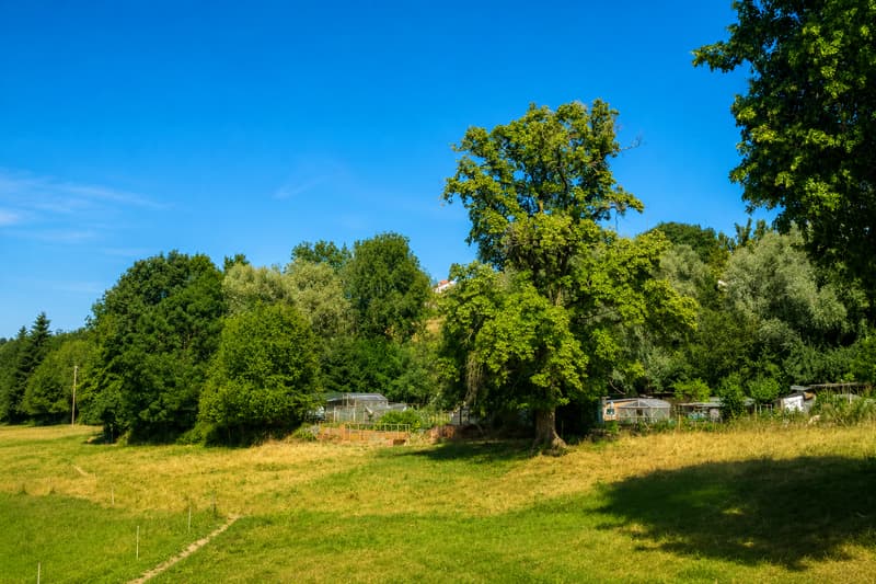 Romont - Parcelle agricole idéalement située à deux pas de la gare (1)
