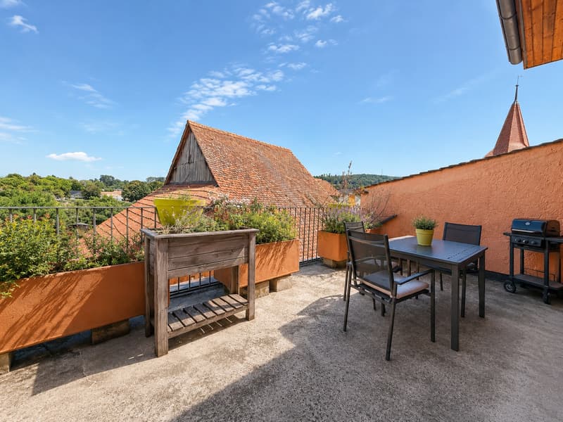 Superbe duplex avec terrasse et cheminée au c?ur du Bourg du Landeron (3)