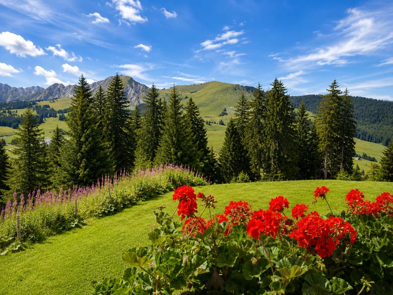 Vue depuis le séjour/balcon