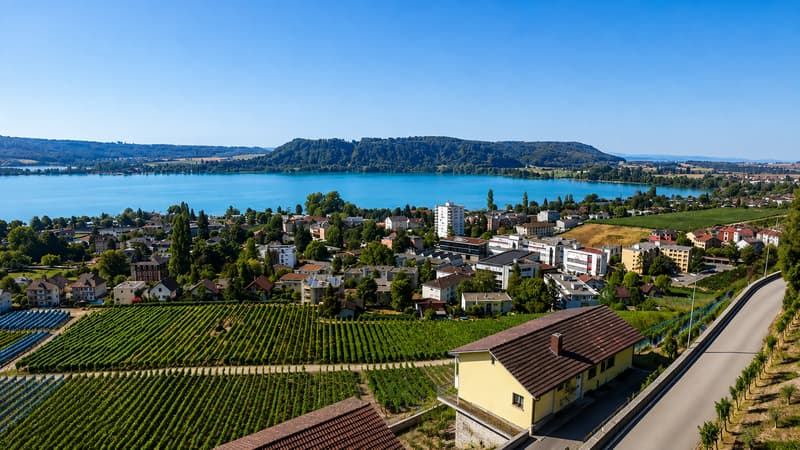 Villa d'exception avec vue panoramique sur le lac (1)