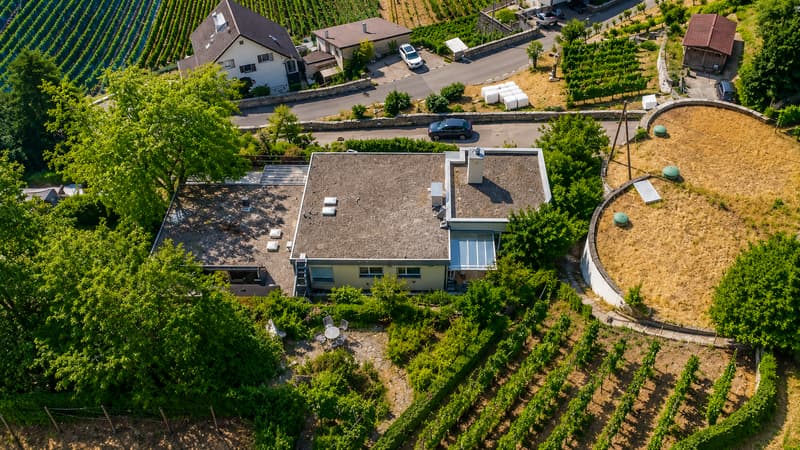 Villa d'exception avec vue panoramique sur le lac (2)