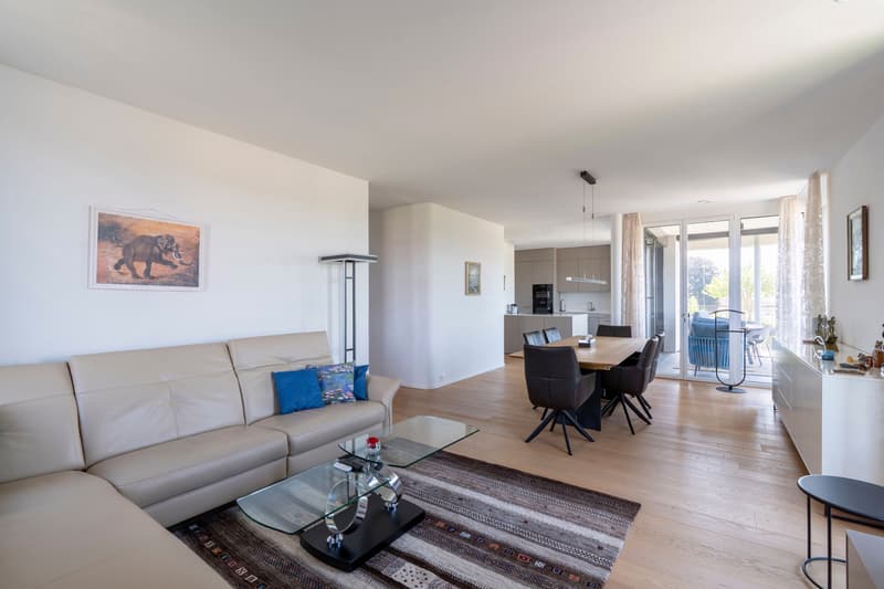 Magnifique appartement attique 4.5 pièces avec vue lointaine (6)