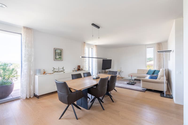 Magnifique appartement attique 4.5 pièces avec vue lointaine (5)