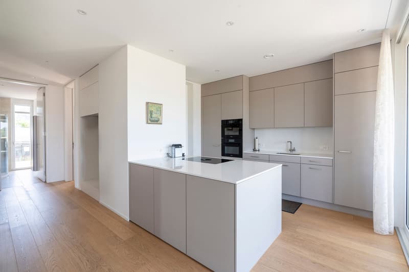 Magnifique appartement attique 4.5 pièces avec vue lointaine (3)