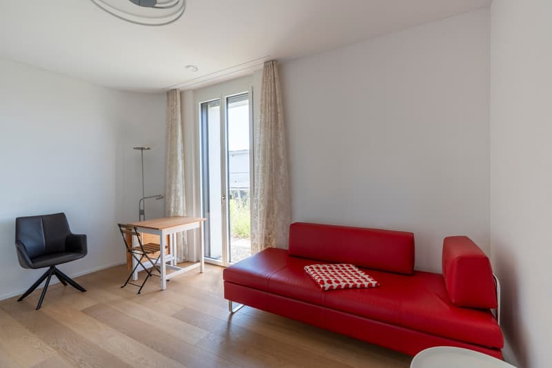 Magnifique appartement attique 4.5 pièces avec vue lointaine (8)