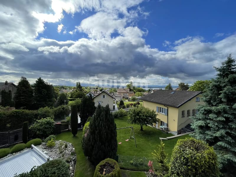 Maison mitoyenne 7 pièces avec jardin, vue sur les Alpes et le lac (5)