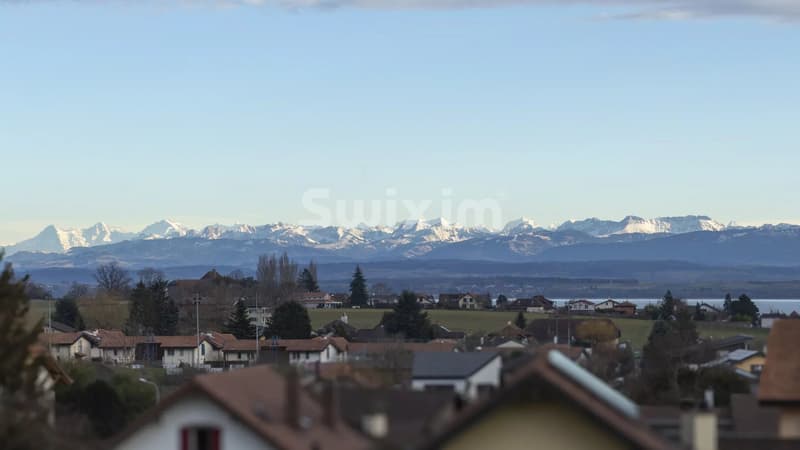 Maison mitoyenne 7 pièces avec jardin, vue sur les Alpes et le lac (8)