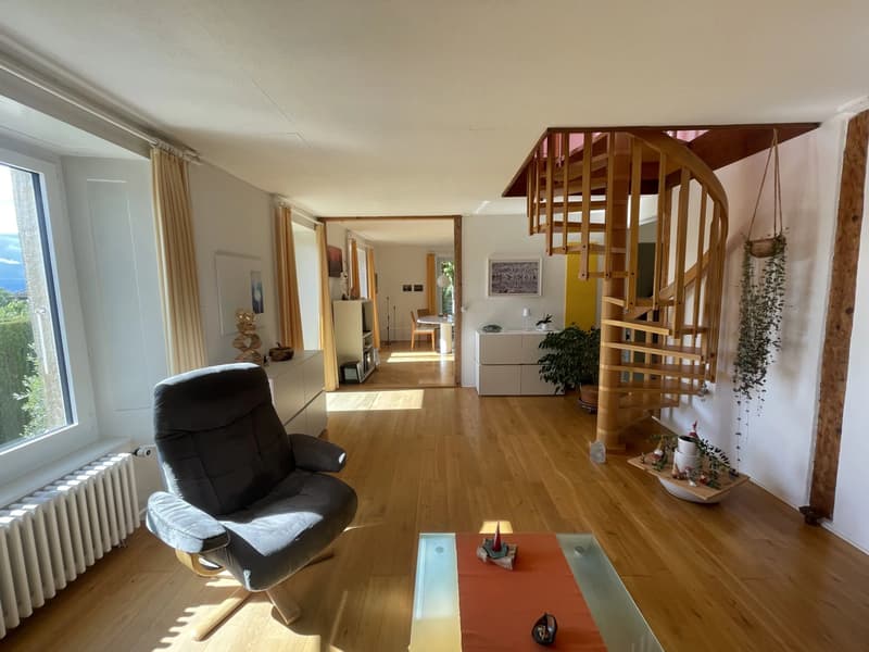 Appartement Duplex 7 pièces avec jardin (2)