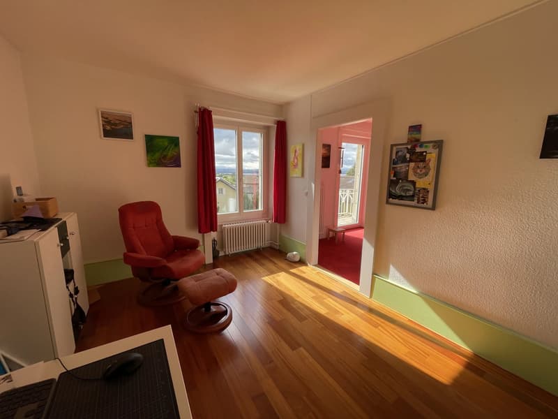 Appartement Duplex 7 pièces avec jardin (5)