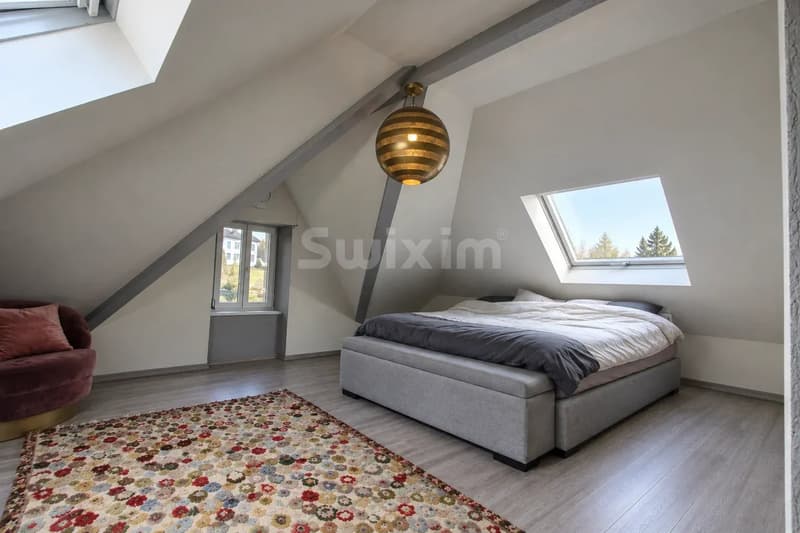 Maison villageoise individuelle d'exception avec une grande parcelle arborée (4)